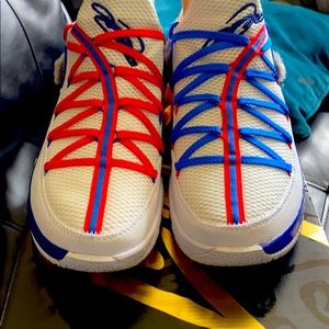 Lebron 17 Low Tune Squad